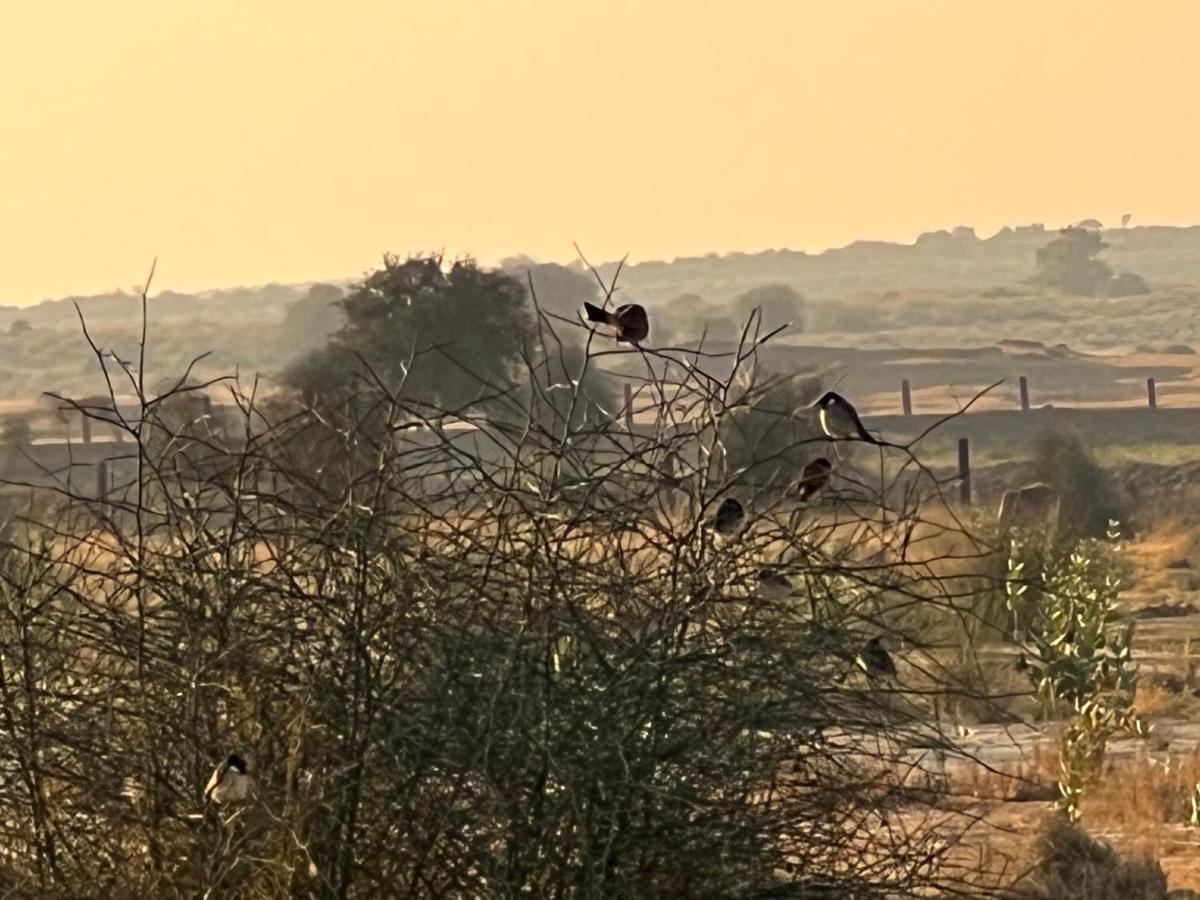 Golden Villa Jaisalmer Buitenkant foto